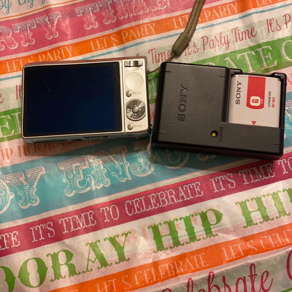 Digital camera with the charger